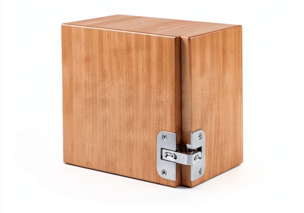 Pivot Hinge Zinc BRIXWELL Single Door 5x5-2